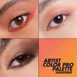 خرید پالت چشم و صورت میکاپ فور اور مدل ARTIST COLOR رنگ Tangerine