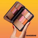  پالت میکاپ فور اور مدل ARTIST COLOR رنگ Tangerine