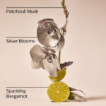 بادی میست بث اند بادی مدل Platinum Fine Fragrance Mist